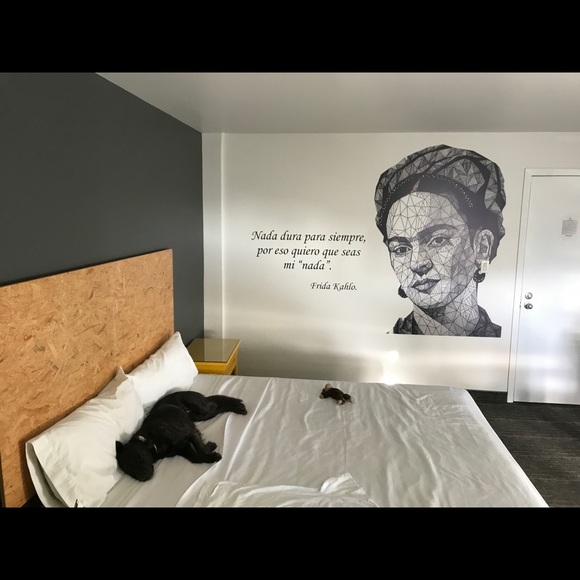 Meet your Posher, Ron - Picture 5 of 5